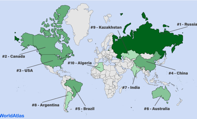 Top 7 Largest Countries in the World